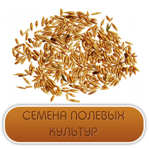 Семена полевых культур